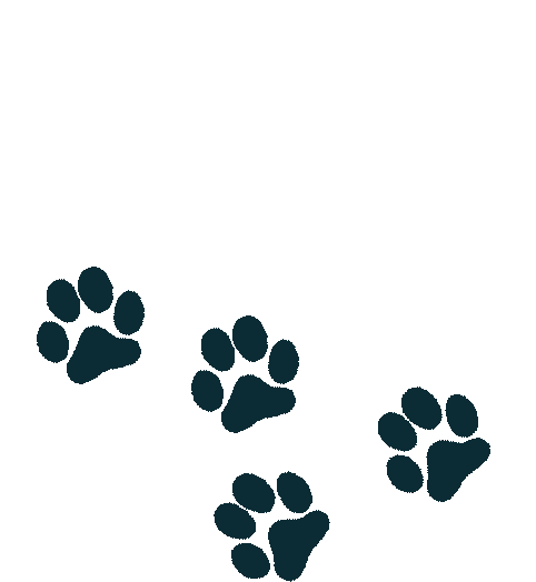 The Crafty Catsman paw print logo