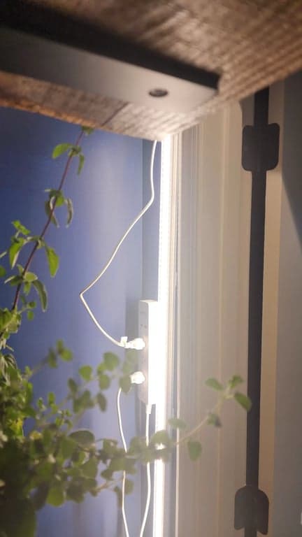 Pine boards for shelving