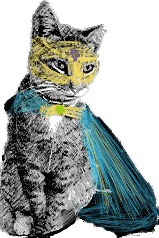 Floating shelves on wall