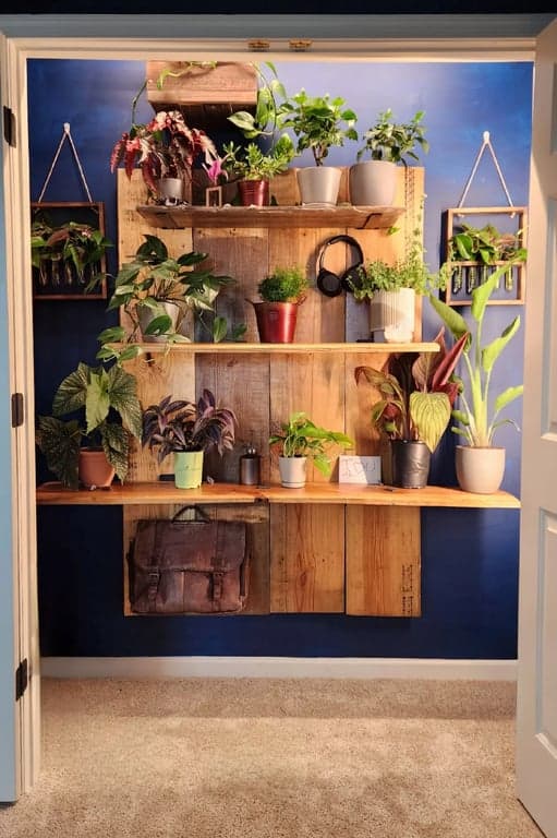 Transformed plant-filled garden closet with lights and shelving