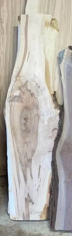 Unfinished spalted maple slab