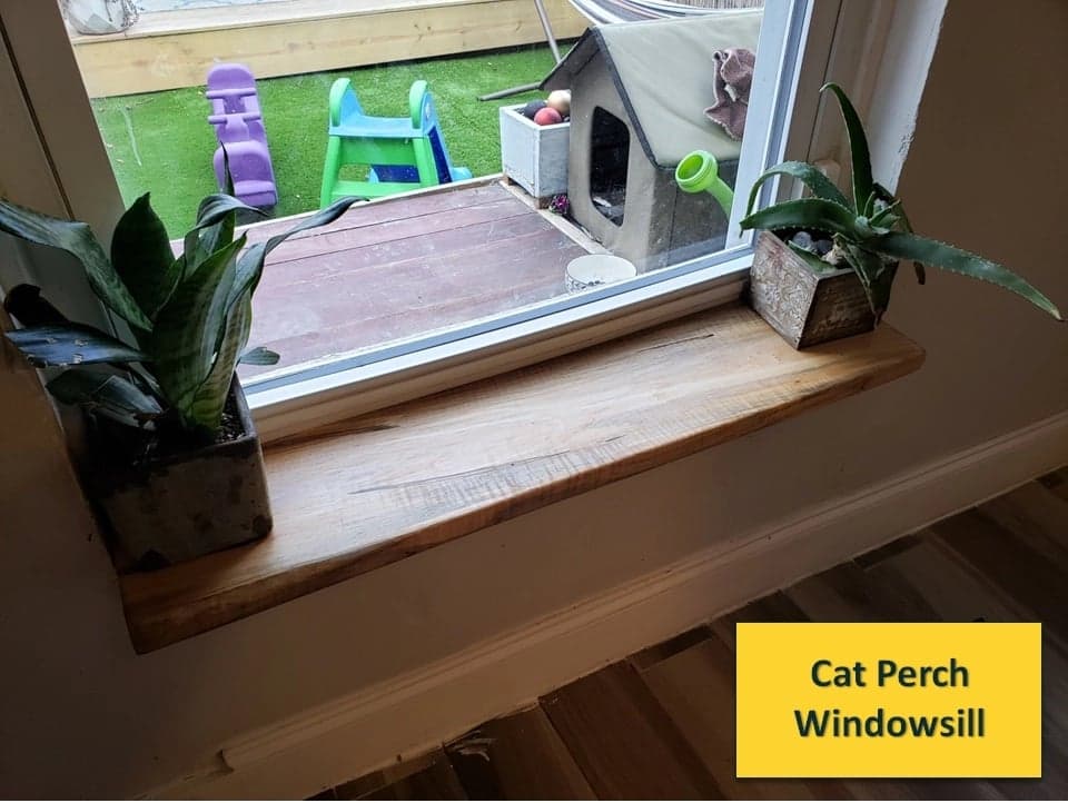 Cat windowsill shelf