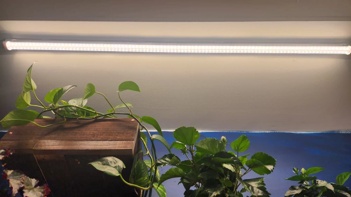 Planning the closet layout