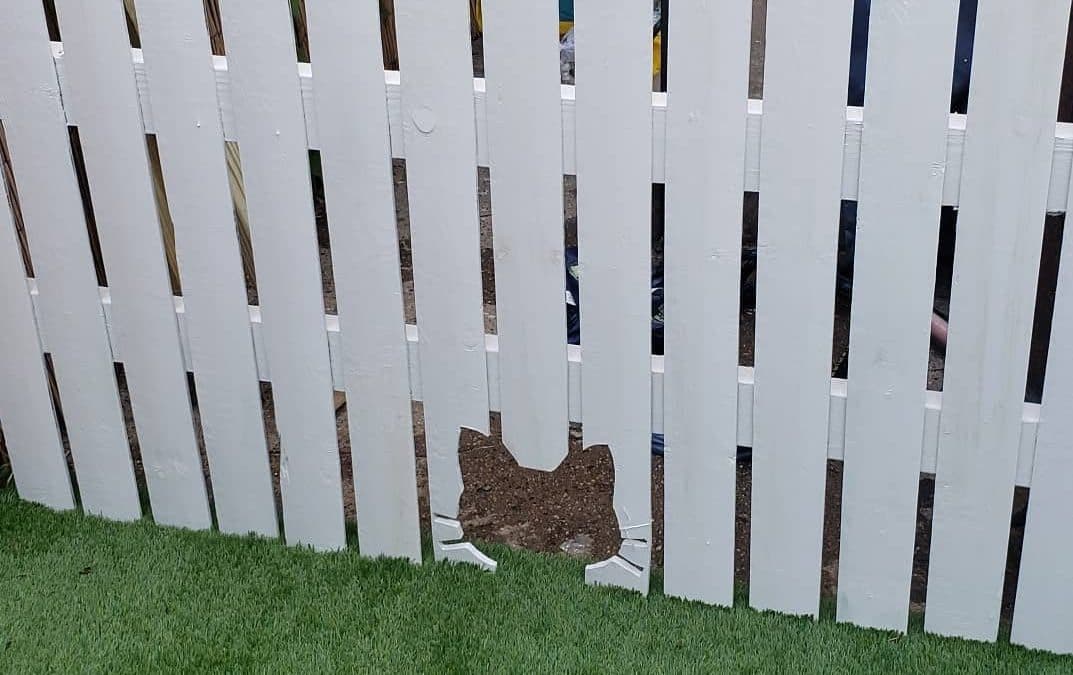 Completed white picket gate with a full cat-face opening cut across three center pickets