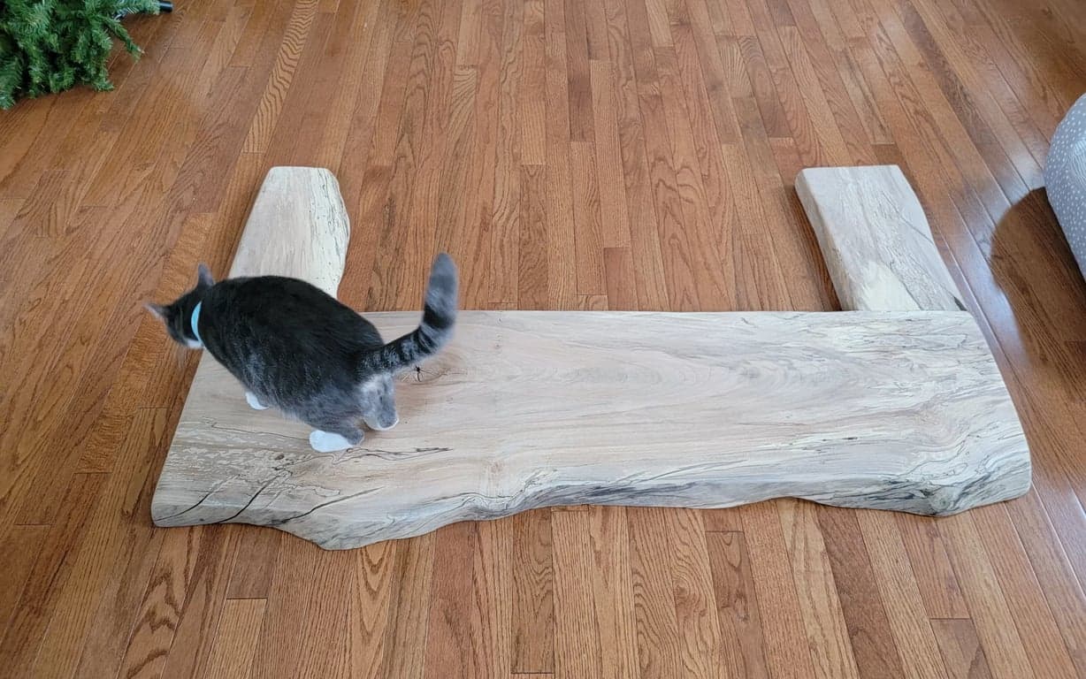 Dry-fitting and planning the spalted maple bar top before final assembly