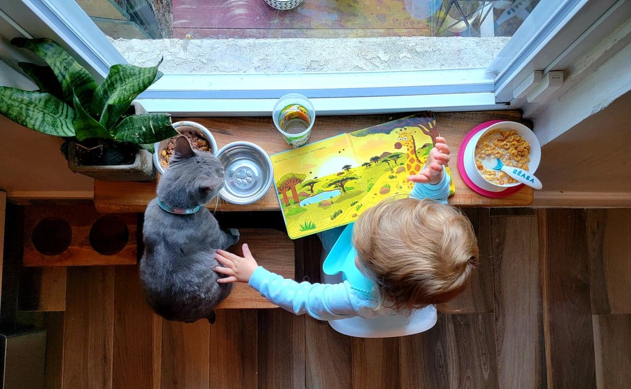 DIY Breakfast Bar - Woodworking Project