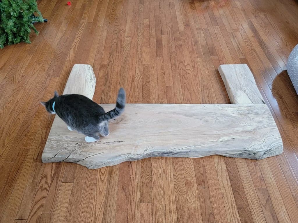 Planning the layout of the bar top pieces